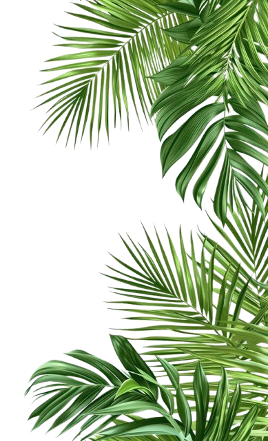 Contact Illustration